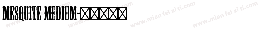 Mesquite Medium字体转换